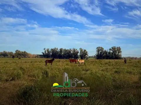 PROPIEDADES RURALES - CHACRA - ZONA RURAL, LOS CARDALES
