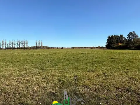 Campo en Venta Chacra
