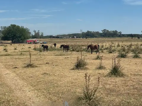 los cardales buenos aires
