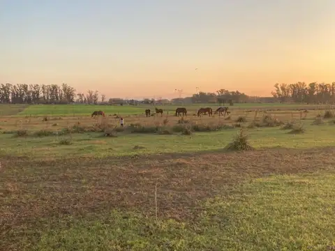 Campo en Venta de 4  ha