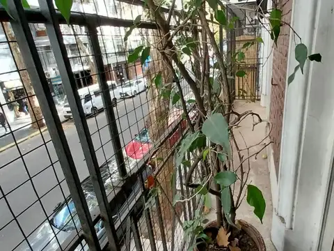 Departamento en Alquiler Permite mascota