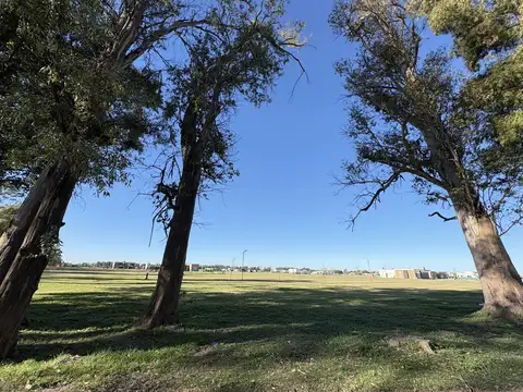 Venta de lote en Barrio Tres Pinos Villa de Campo-Estribo