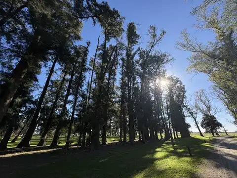Terreno en Venta de 1300,0 m2