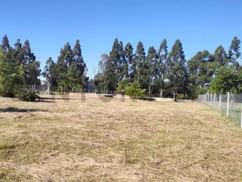 Terreno en Venta de 2466,59 m2
