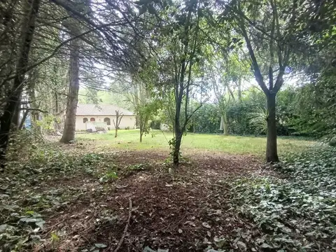 Torcaza 7500