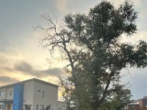 Terreno en Venta 10  mts Fondo