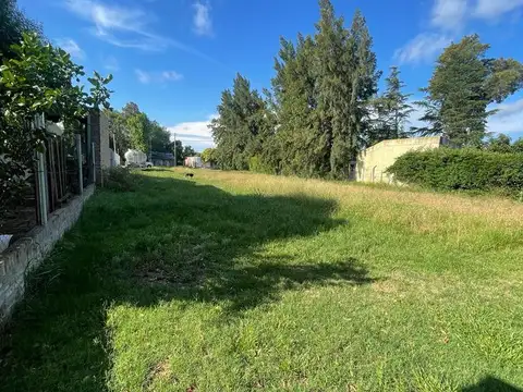 Terreno en Venta 60  mts Fondo