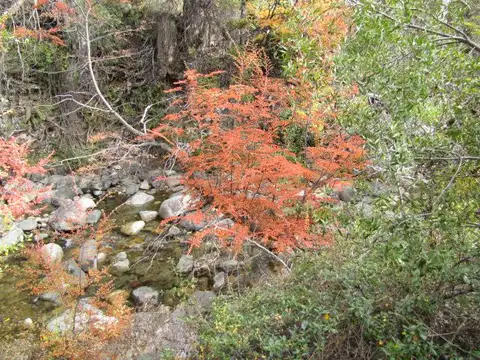 Campo "Las Cascadas" en venta - 376 has. - Cholila - Chubut