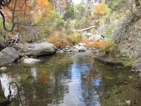 Cholila
