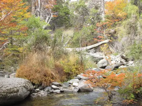 Terreno en Venta en Cholila, USD 1.600.000