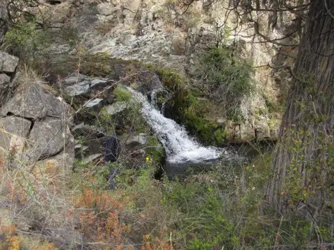 Cholila