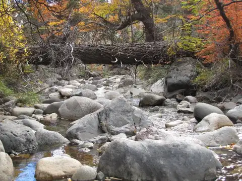 Campo "Las Cascadas" en venta - 376 has. - Cholila - Chubut