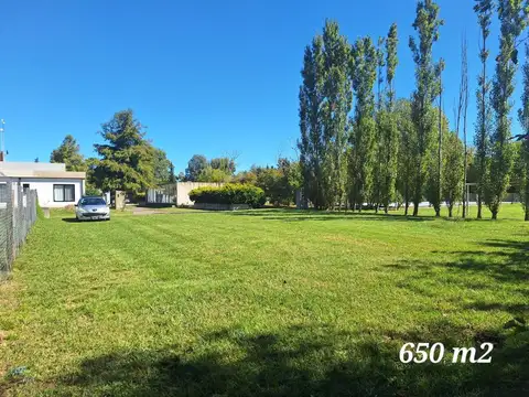 San Isidro 700
