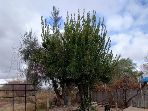 Casa en Venta en Palmira, USD 117.000