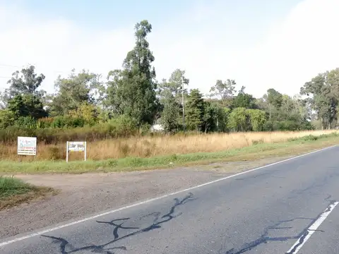 Ruta Nacional 11 700
