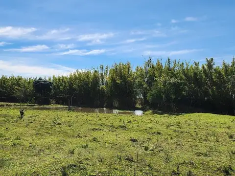 Terreno en Venta en Canelones, USD 130.000