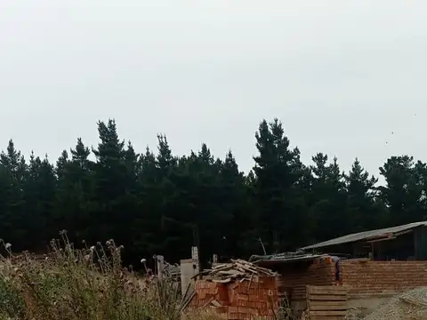 Lote de 442m2 en Dina Hue