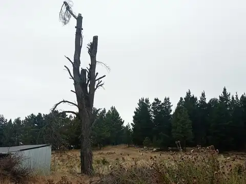 Terreno en  Dina Hue