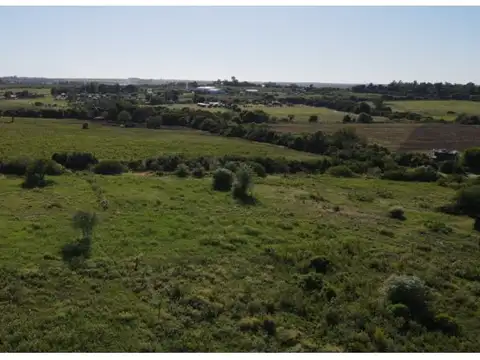Las Calandras y Las Lechuzas , Piso 0