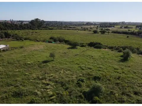 ¡VENTA! Lote en esquina de 2378 m2 con hermosas vistas en zona quintas! Excelente ubicación! Lo...
