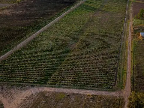 Terreno en Venta de 80,0 m2