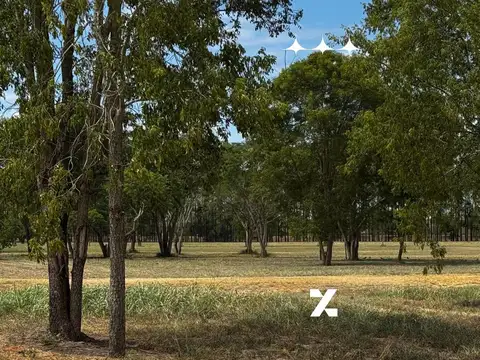 Terreno en Venta de 600,0 m2