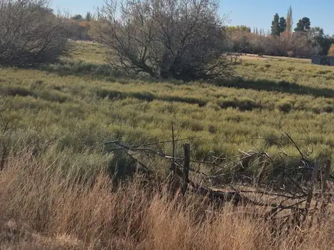 CHACRA EN VENTA EN ALLEN