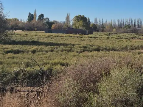 CHACRA EN VENTA EN ALLEN