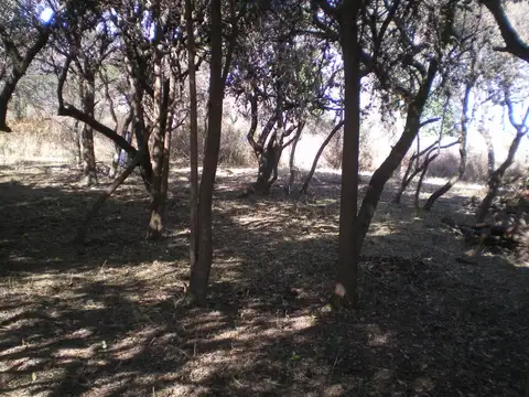 Terreno en Venta de 26000,0 m2