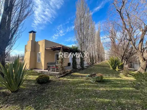 Venta - 5,6 has costa de Río Neuquén, Centenario