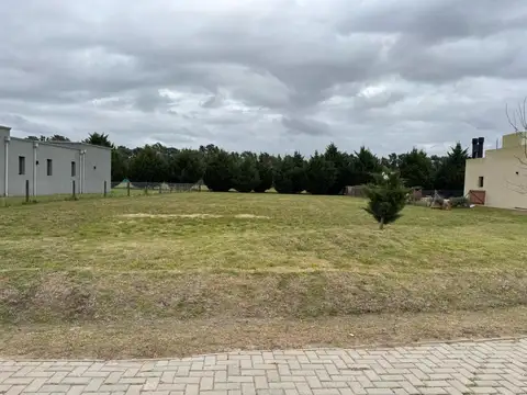 ADG. Excelente lote en El Cardal 2