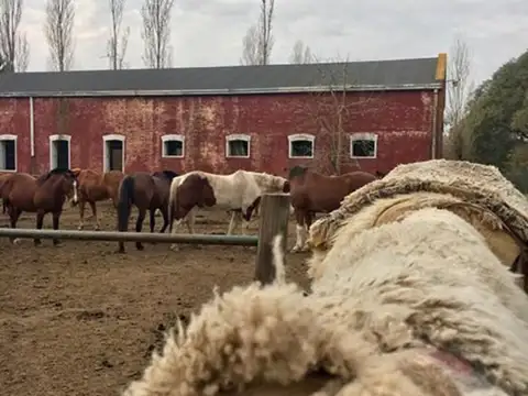 Terreno en Venta en Lima, USD 35.000