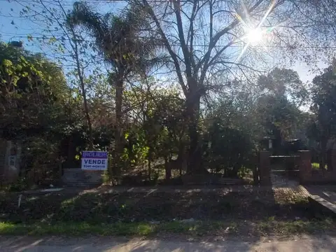 Patricios  al 1600