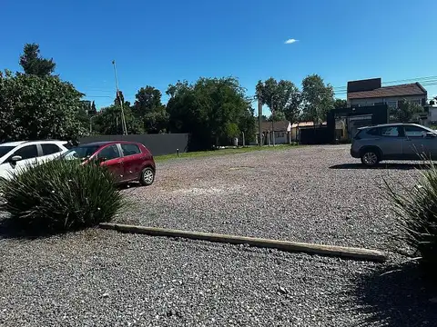 Alto Grande Canning-Mitre Emilio al 700