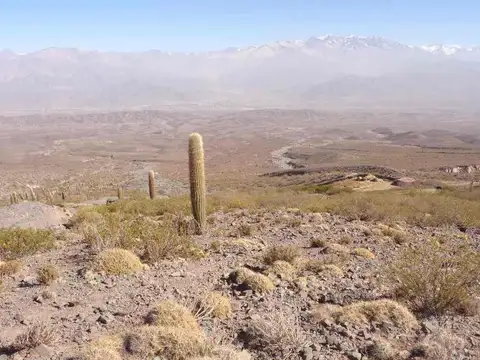 Cachi. Ruta Provincial 33