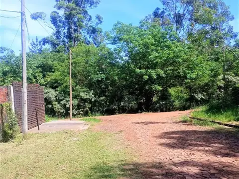 53