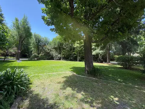 El Casco C.c , Lote 100