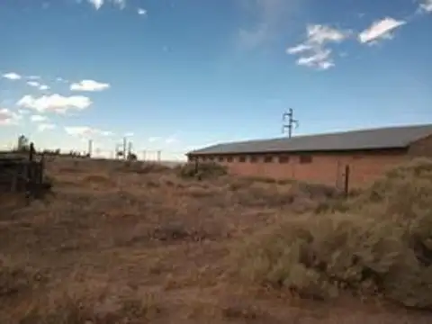 Terreno en Alquiler de 3700,0 m2