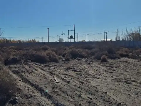 Terreno en Alquiler 100  mts Fondo