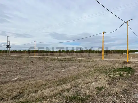 Terreno en Venta 25  mts Fondo