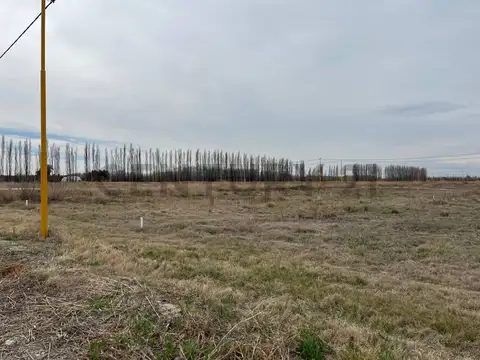 Terreno en Venta en Cervantes, USD 5.000