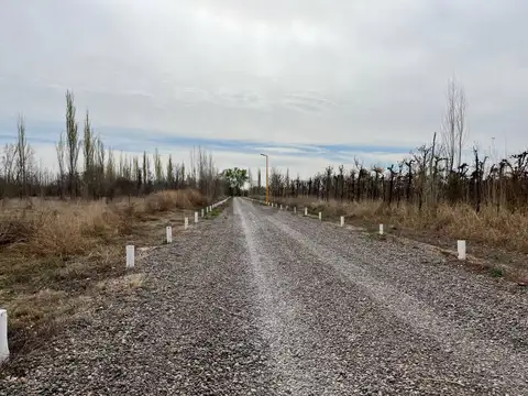 Terreno en Rufina- Cervantes