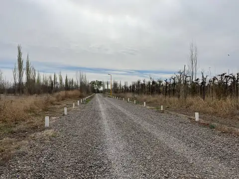 Terreno en Venta de 250,0 m2