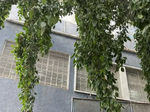 Doctor Luis Beláustegui 3200