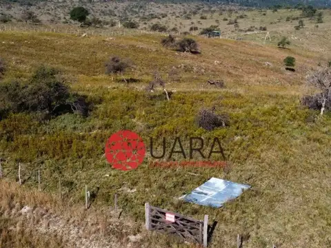 Ruta S - 271
