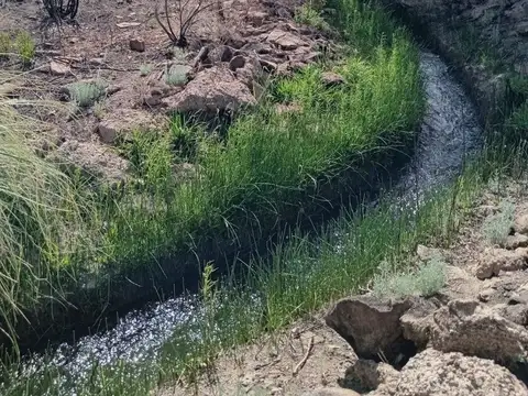 OPORTUNIDAD DE INVERSIÓN CAMPO ZONA CORDILLERANA