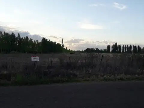 VENDO LOTE CUADRO BENEGAS