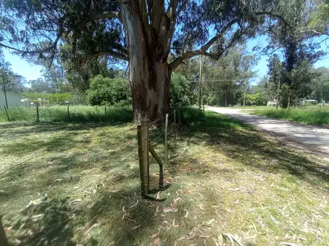 VENTA LOTE EN PARQUE BRISTOL MIRAMAR CALLE BELGRAN