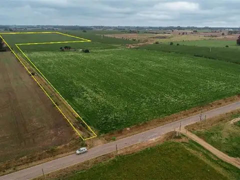 Campo en Venta de 7,10  ha