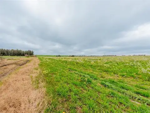 Campo en Venta de 7,10  ha